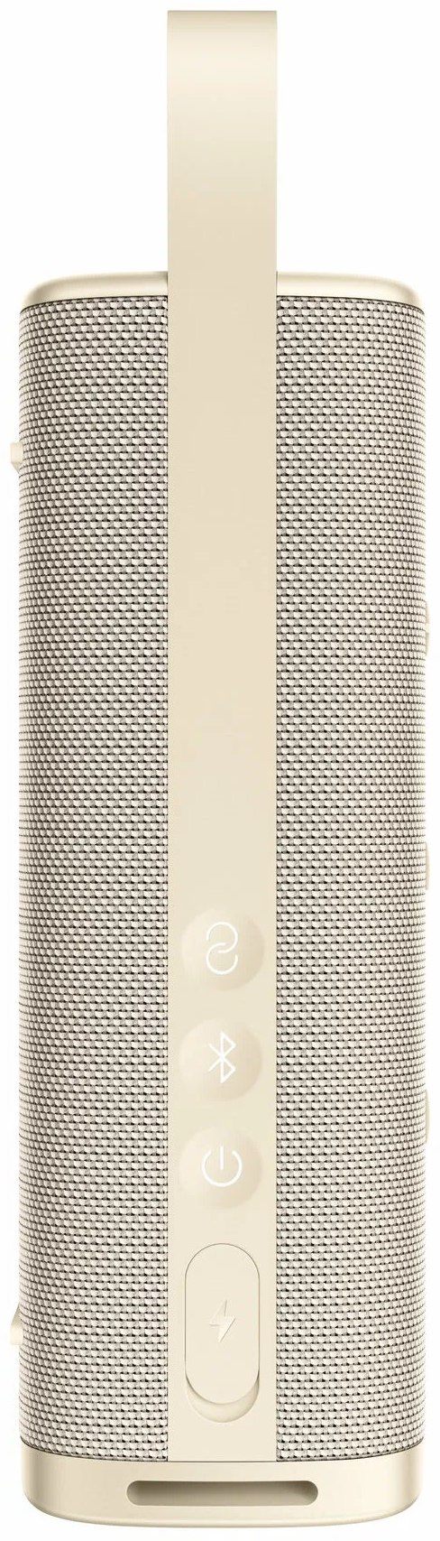 Портативная колонка Xiaomi Sound Outdoor 30W S29H золотистый QBH4370GL